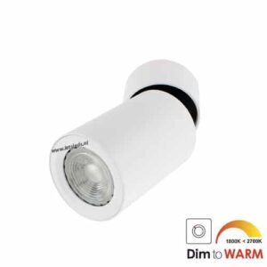 LED opbouwspot Malta 7Watt rond kantelbaar WIT dimbaar