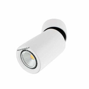 LED opbouwspot Malta 5Watt rond kantelbaar WIT dimbaar