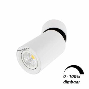 LED opbouwspot Malta 6Watt rond kantelbaar WIT dimbaar