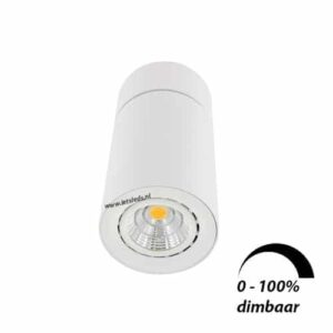 LED opbouwspot Malta 6Watt rond kantelbaar WIT dimbaar