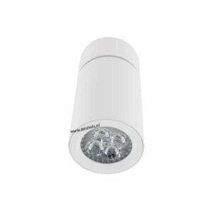 LED opbouwspot Malta 4Watt rond kantelbaar WIT dimbaar