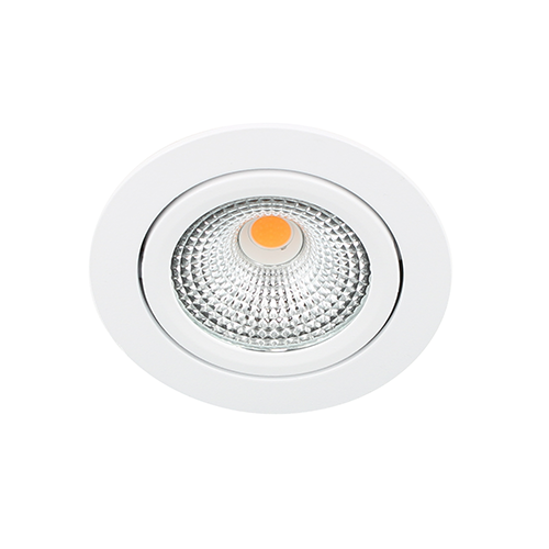 LED spot kantelbaar 5Watt rond WIT dimbaar D-1