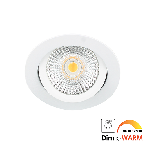 LED spot kantelbaar 5Watt rond WIT dimbaar DTW-2