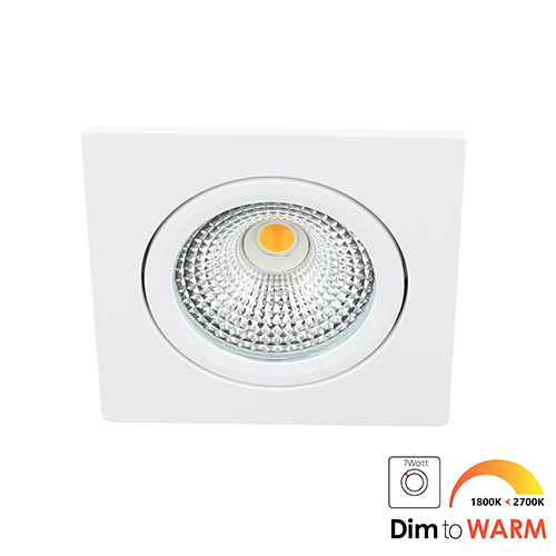 LED spot kantelbaar 5Watt vierkant WIT IP65 dimbaar DTW-1